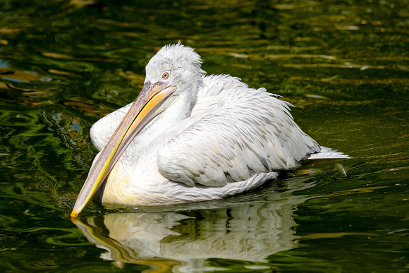 The beauty in taking time to rest